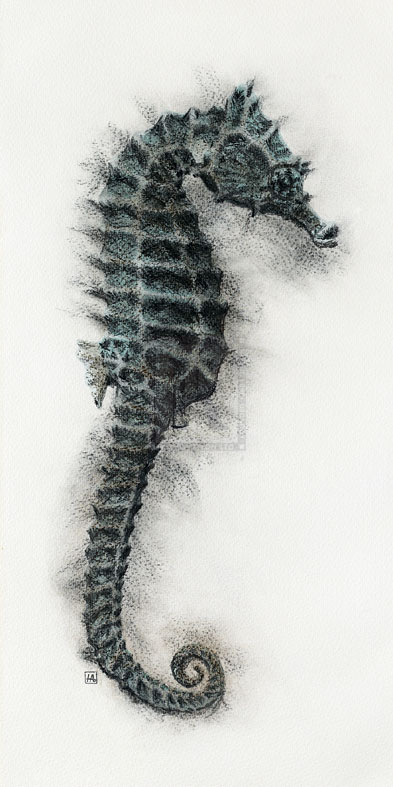 Seahorse I - Hilary Armstrong