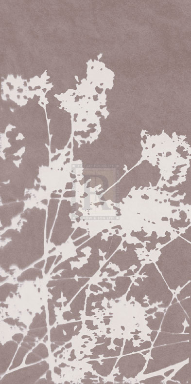 Ramble in Grey - Sarah Cheyne