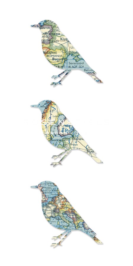 Map Birds - Sasha Blake