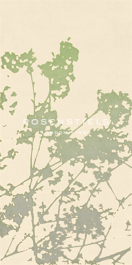 Nature Ramble - Sarah Cheyne