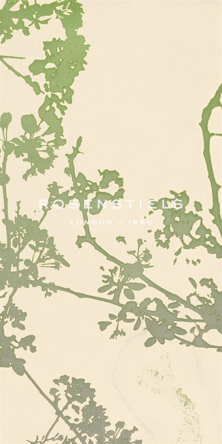 Nature Florets - Sarah Cheyne