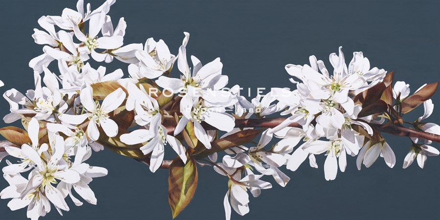 Spring Starlight, All is Well II - Sarah Caswell