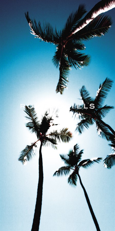 Miami Cool - Malcolm Sanders