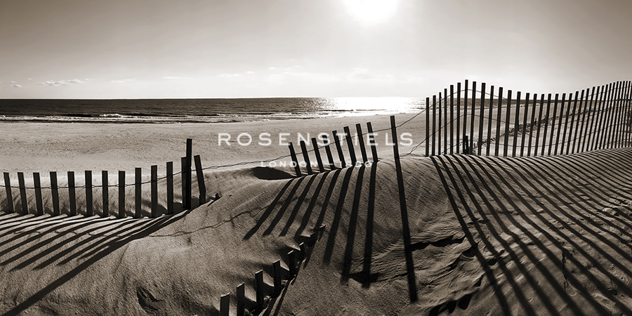 Beach Shadows - Malcolm Sanders