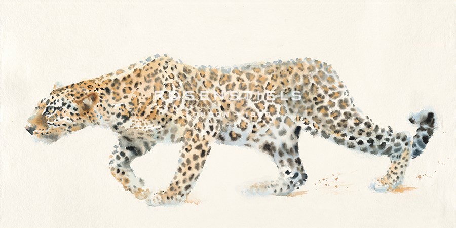 Stealth - Hazel Soan