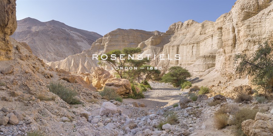 Desert Terrain - Assaf Frank