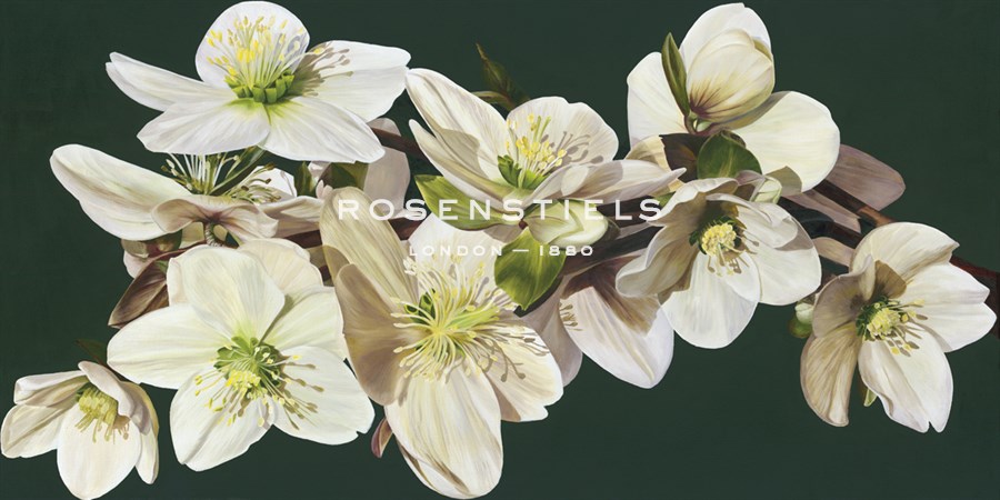 Arise - Sarah Caswell