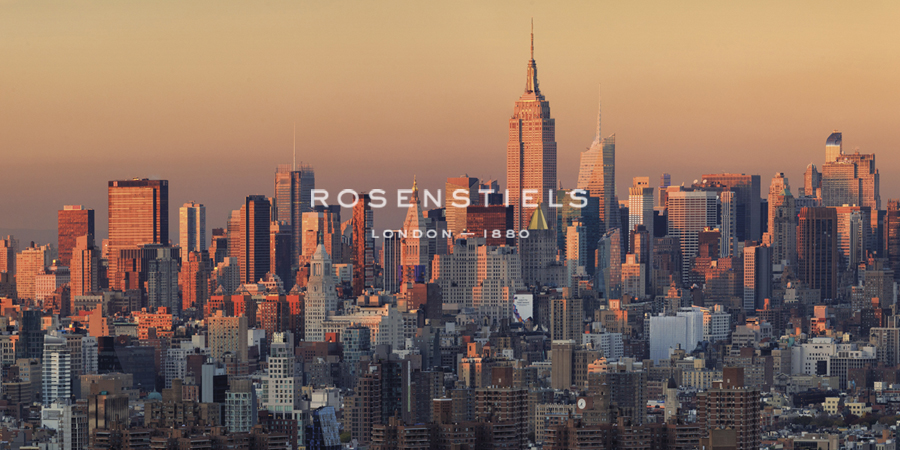 Manhattan Metamorphis - Michele Falzone