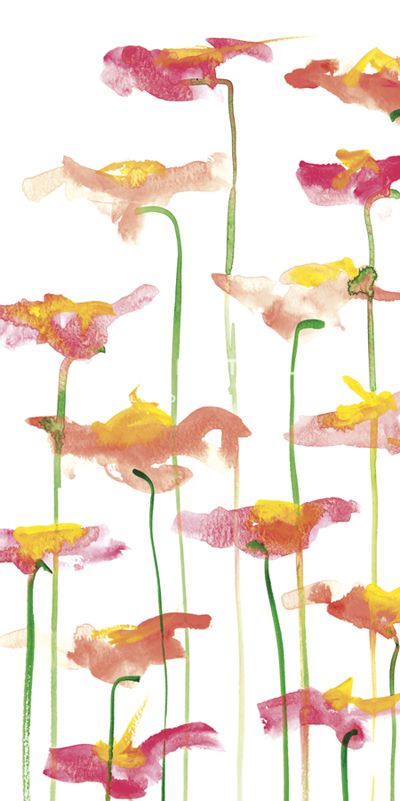Clytie's Flowers - Sarah Von Dreele