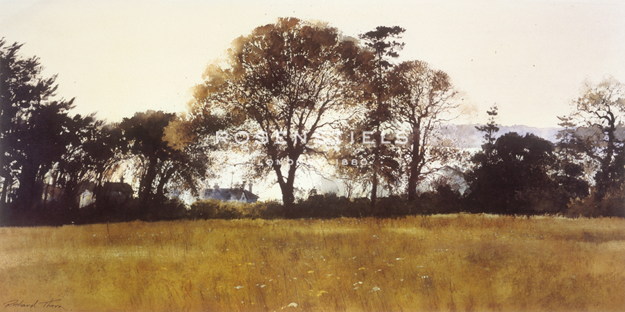 Hilltop Evening - Richard Thorn