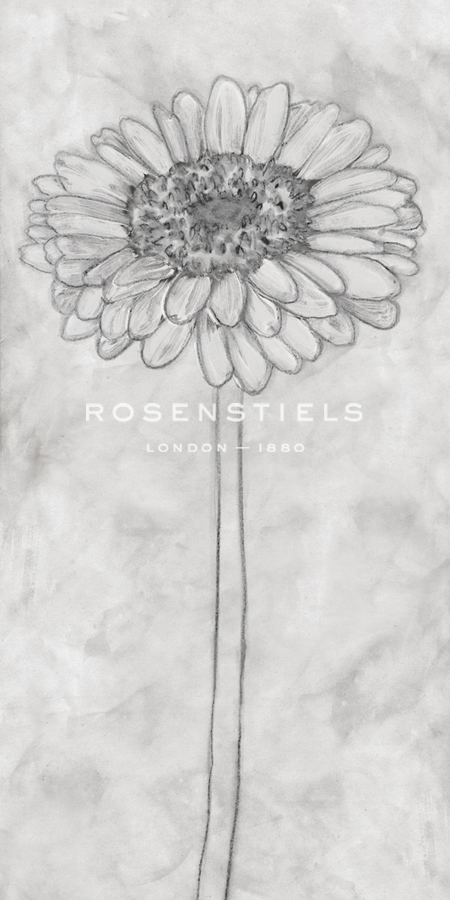 Chalky Gerbera - Belle Poesia