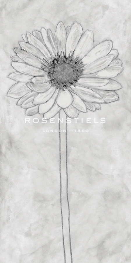 Chalky Daisy - Belle Poesia