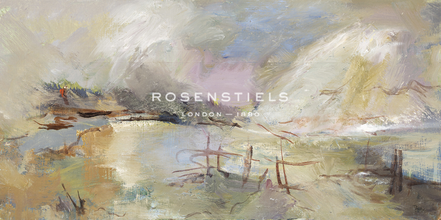 Sidlesham Evening Light - Tuema Pattie