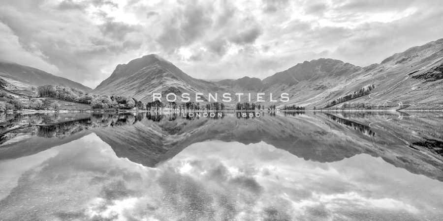 Mirrored Nature - Assaf Frank