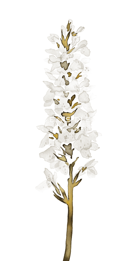 Floral Poetry - Blossom - Kristine Hegre
