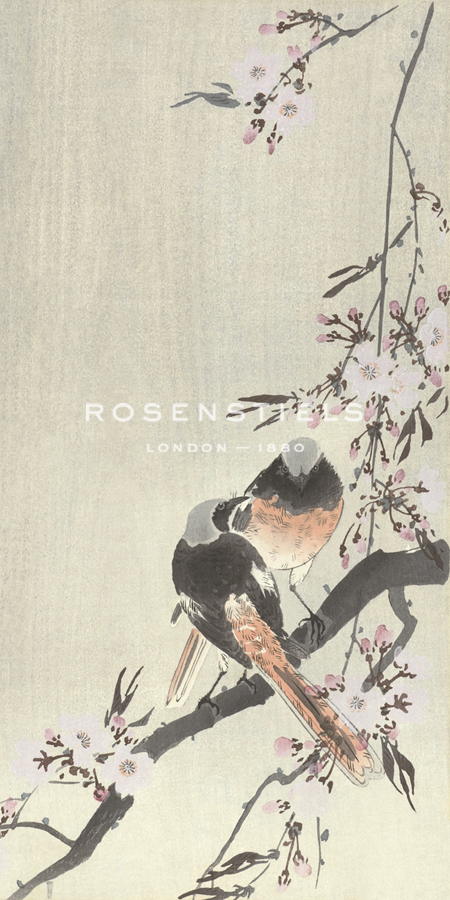 Two Siegal Redstarts with Cherry Blossom - Ohara Koson