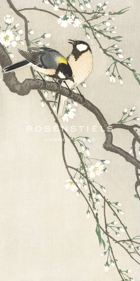 Birds on Blossom Branch - Ohara Koson