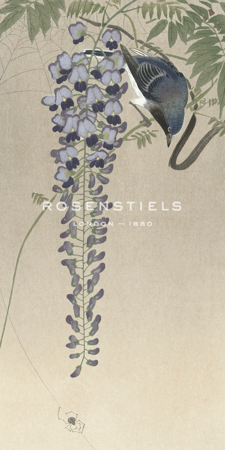 Flycatcher in Wisteria - Ohara Koson