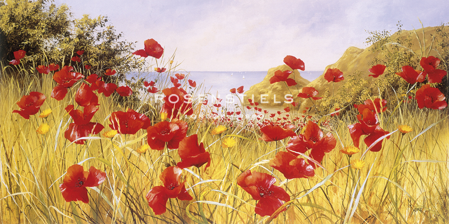 Clifftop Poppies - Mary Dipnall