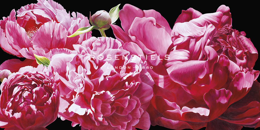 Imagine a World Where Pink Exists - Sarah Caswell