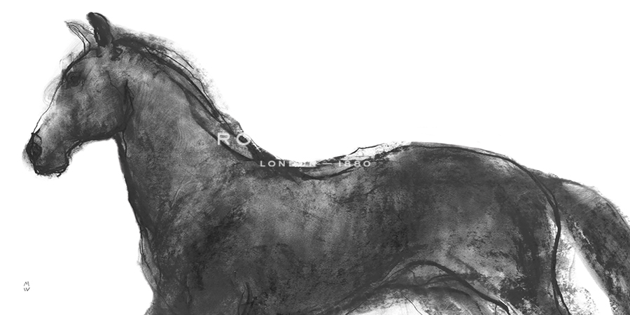 Equine Sketch - Alert - Manny Woodard