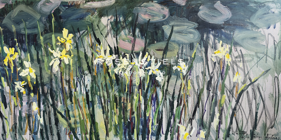 Irises by the Pond - Lilia Orlova Holmes