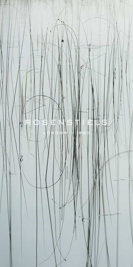 Lake Grass - Swatch - Mike Toy