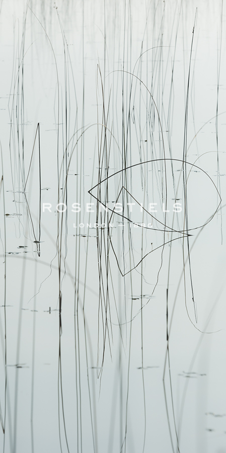 Lake Grass - Sample - Mike Toy