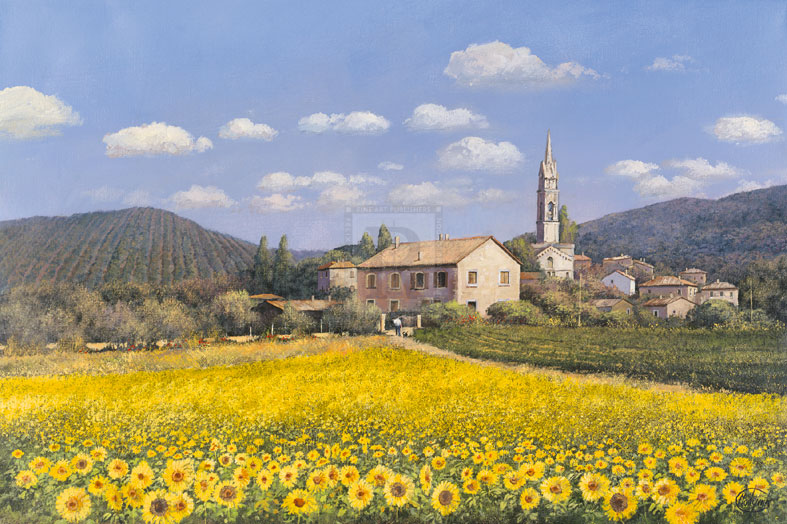 'Sunflowers', Provence - Clive Madgwick