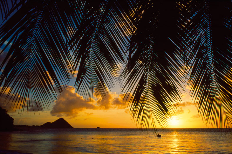 Island Evening I - Mike Toy