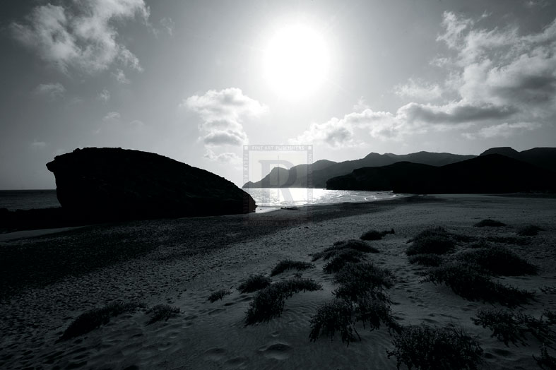 Summer Dunes - Mike Toy