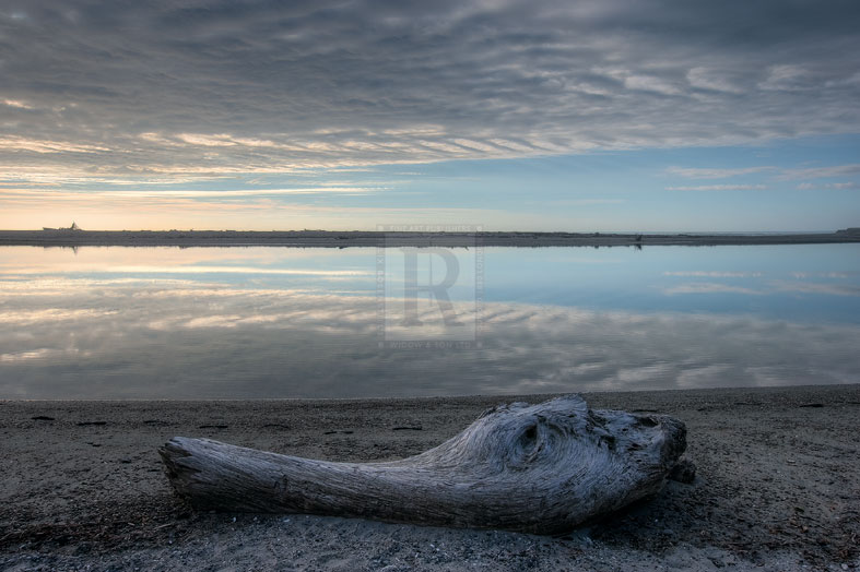 Driftwood Estuary - Nathan Secker