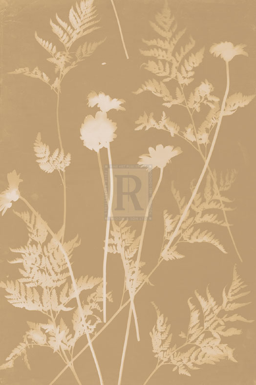 Fern Fronds - Sarah Cheyne