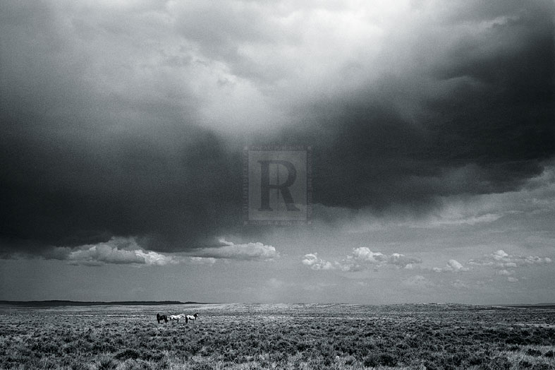 Big Country - Andrew Geiger