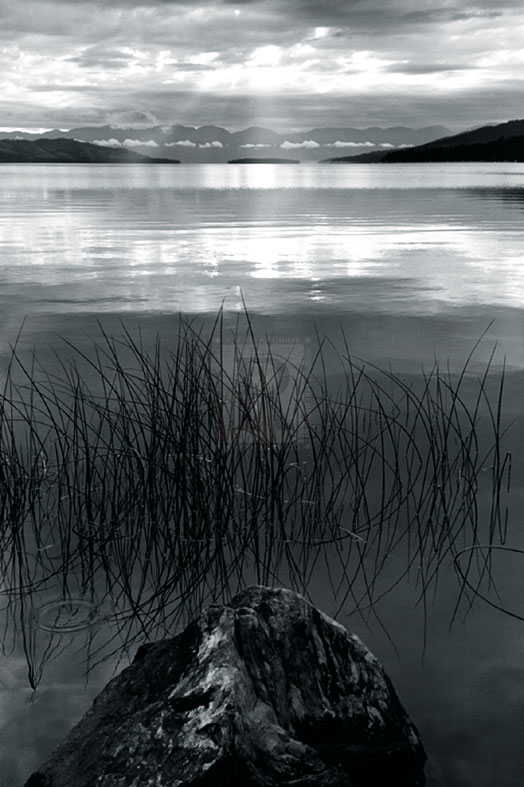 Infinite Shore - Andrew Geiger