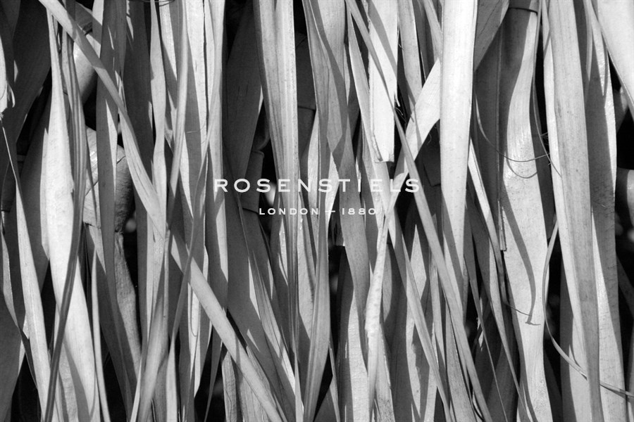 Whispering Reeds - Tony Koukos