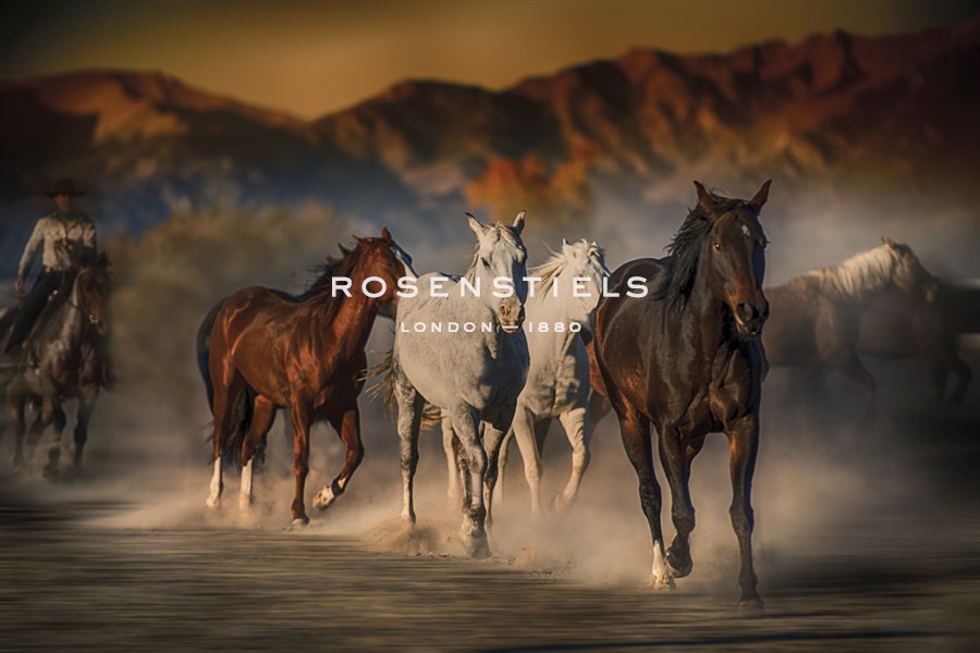 Mustangs on the Move - Bobbie Goodrich