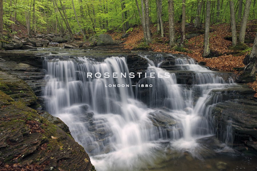 Spring Flow - Michael Greene