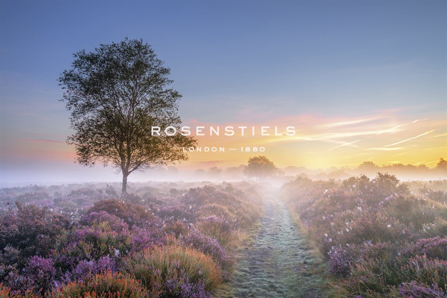 Heath at Dawn - Steve Docwra