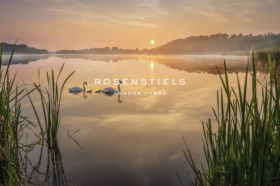 Swan Lake - Steve Docwra