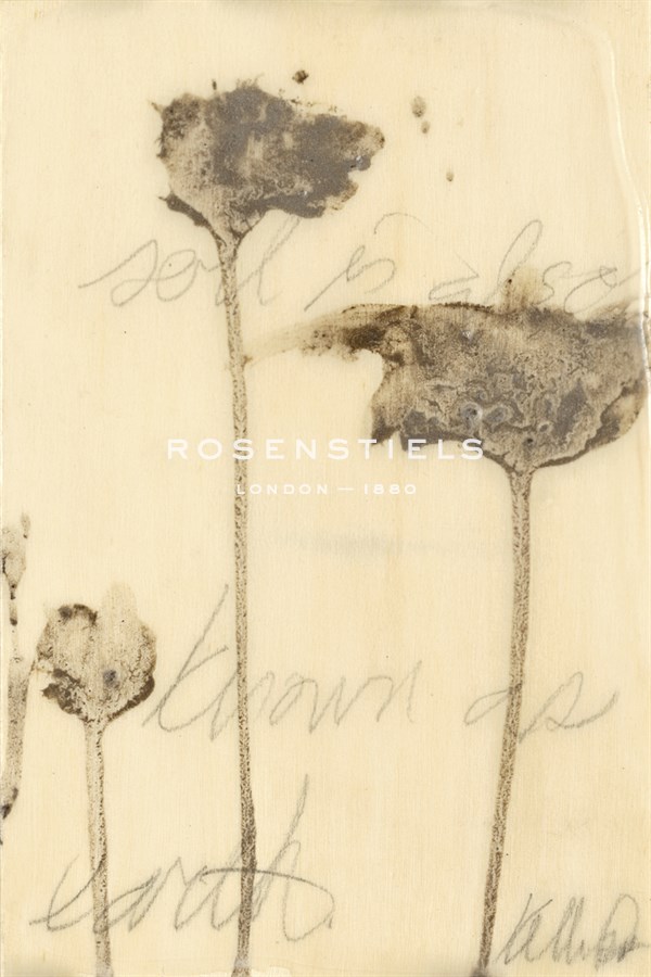 Lutare I - Kelly Rogers