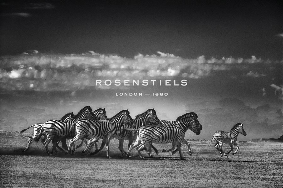 Dazzle - Bobbie Goodrich