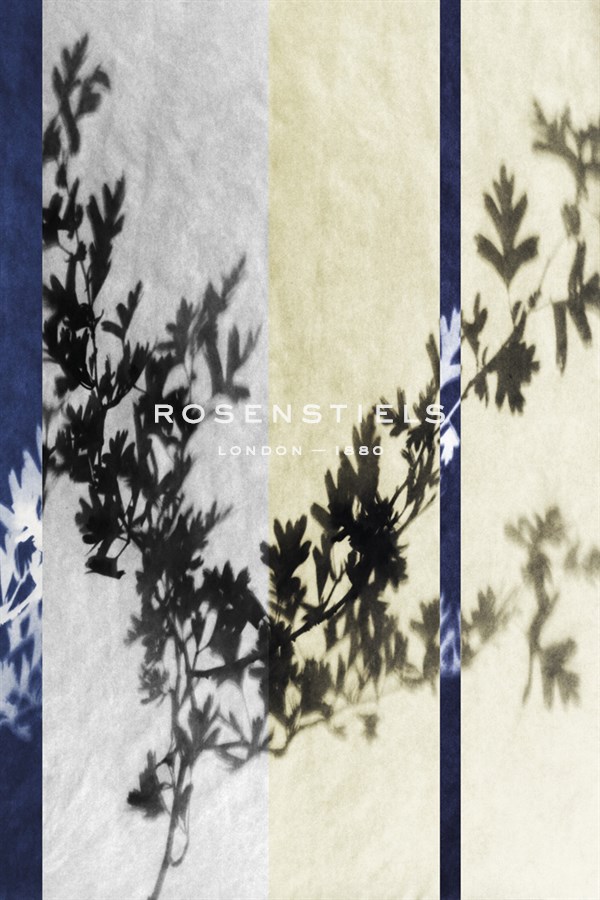 Black Hawthorn Stripe - Sarah Cheyne