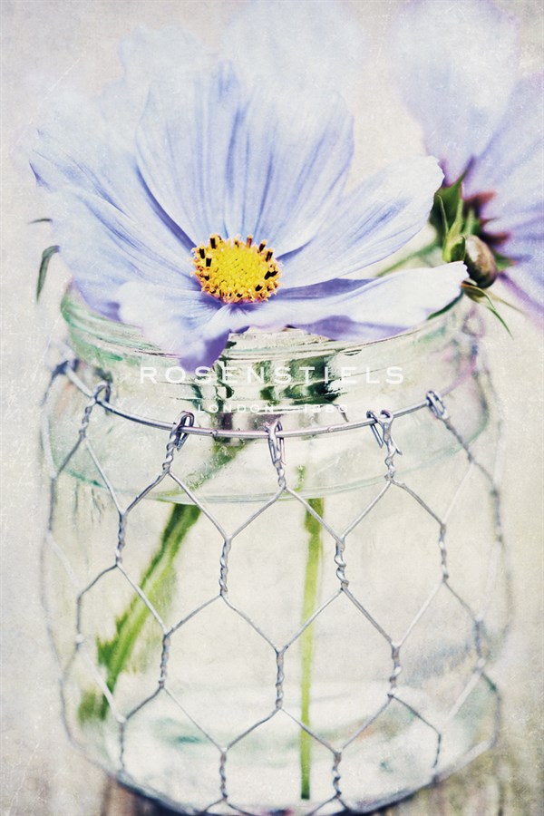 Summers Days IV - James Guilliam