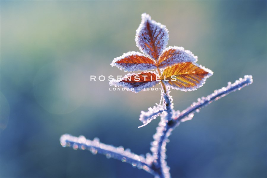 Sparkle - Andreas Stridsberg