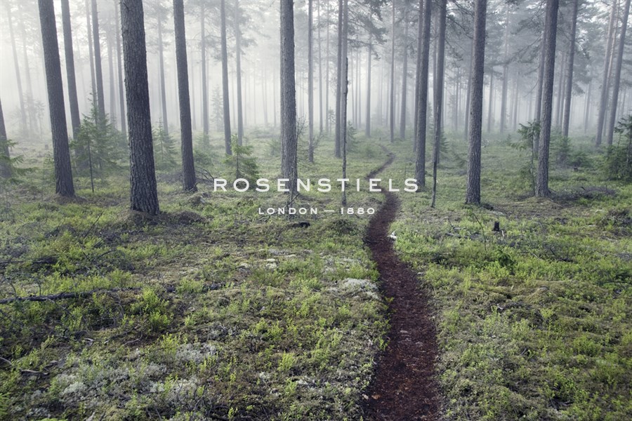 Through the Trees - Andreas Stridsberg