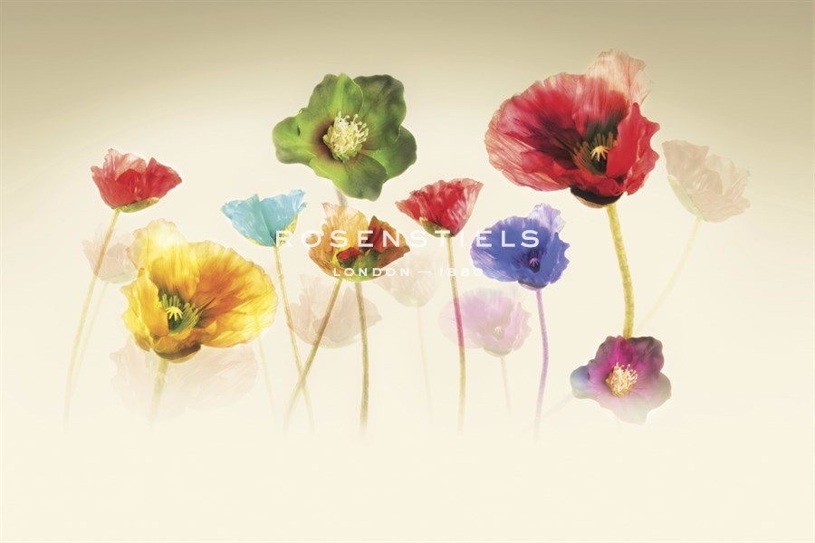 Poppy Panorama - Andreas Stridsberg