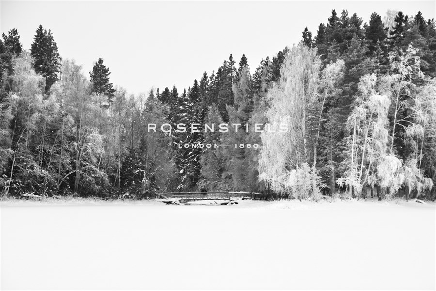 White Woods - Andreas Stridsberg