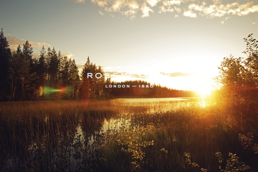 Forest Sunset - Andreas Stridsberg