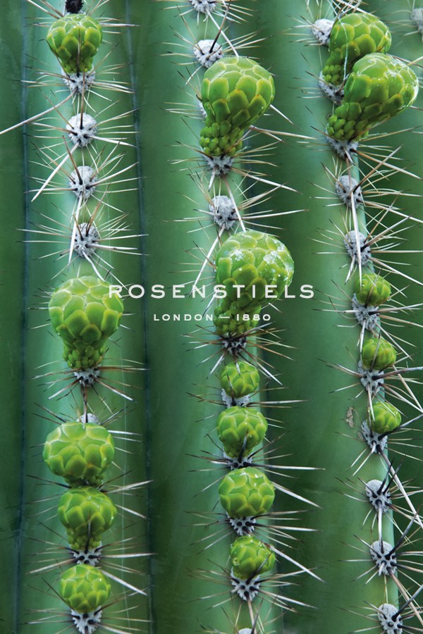Season of Growth - Michael Greene